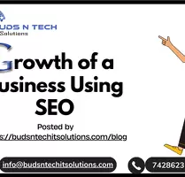 Growth of a Business Using SEO - Image 1