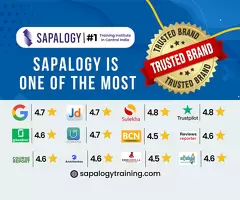 Best SAP classes in Nagpur by Sapalogy Training - Image 1